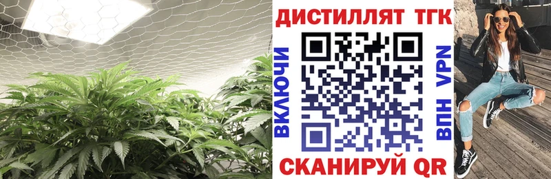 сколько стоит Перевоз Дистиллят ТГК концентрат