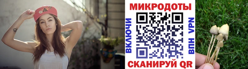 где купить наркоту  Перевоз  Псилоцибиновые грибы Magic Shrooms 